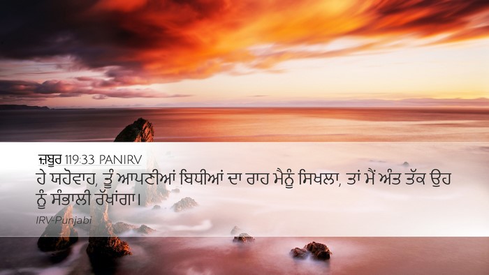 ਜ਼ਬੂਰ 119:33 PANIRV Bible Verse Image