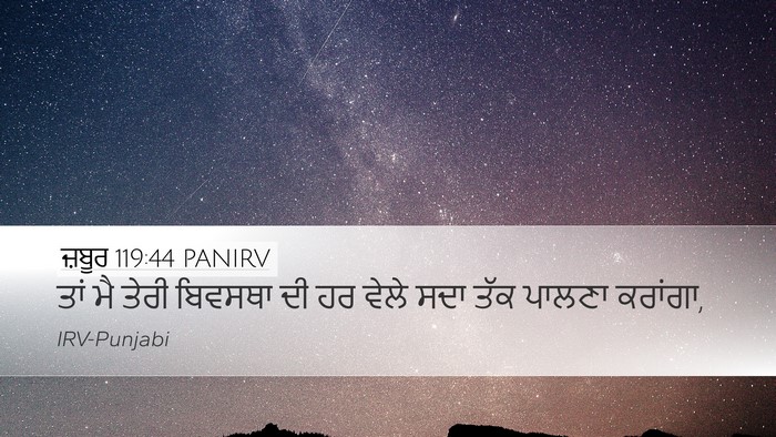 ਜ਼ਬੂਰ 119:44 PANIRV Bible Verse Image