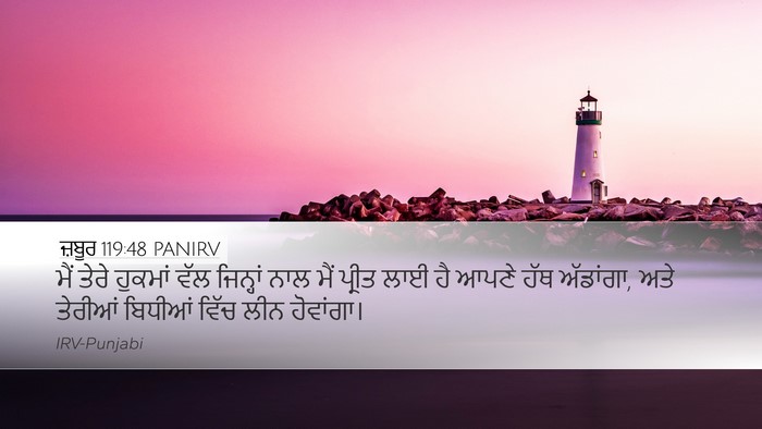 ਜ਼ਬੂਰ 119:48 PANIRV Bible Verse Image
