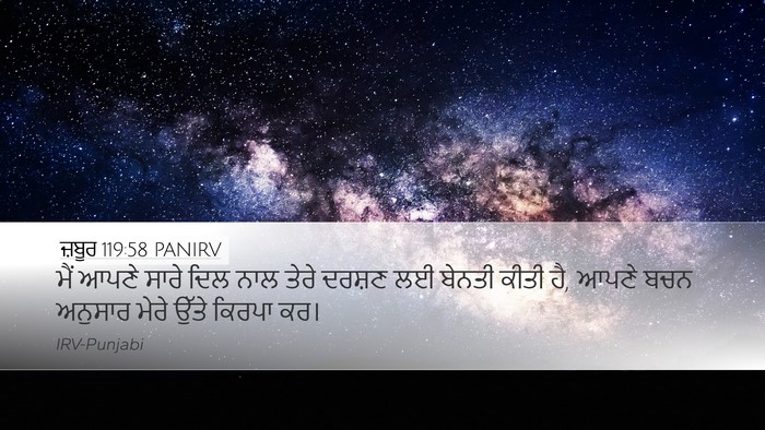 ਜ਼ਬੂਰ 119:58 PANIRV Bible Verse Image