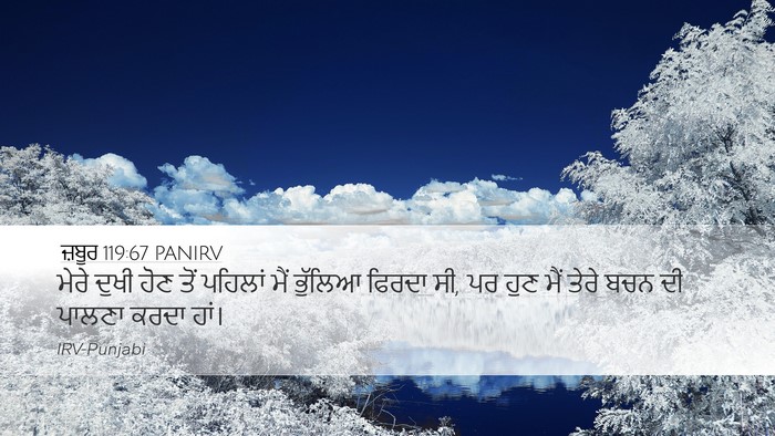 ਜ਼ਬੂਰ 119:67 PANIRV Bible Verse Image