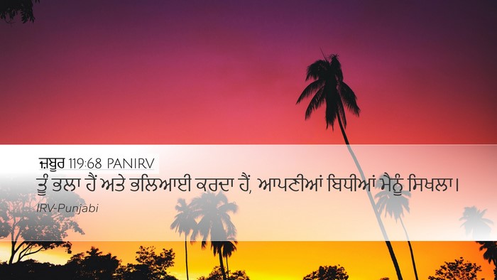 ਜ਼ਬੂਰ 119:68 PANIRV Bible Verse Image