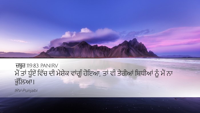 ਜ਼ਬੂਰ 119:83 PANIRV Bible Verse Image