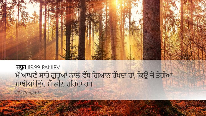 ਜ਼ਬੂਰ 119:99 PANIRV Bible Verse Image