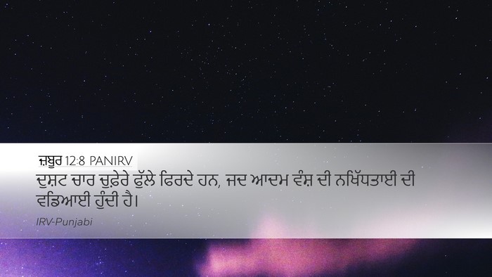 ਜ਼ਬੂਰ 12:8 PANIRV Bible Verse Image