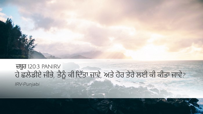 ਜ਼ਬੂਰ 120:3 PANIRV Bible Verse Image
