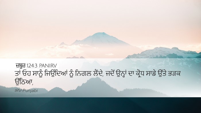 ਜ਼ਬੂਰ 124:3 PANIRV Bible Verse Image