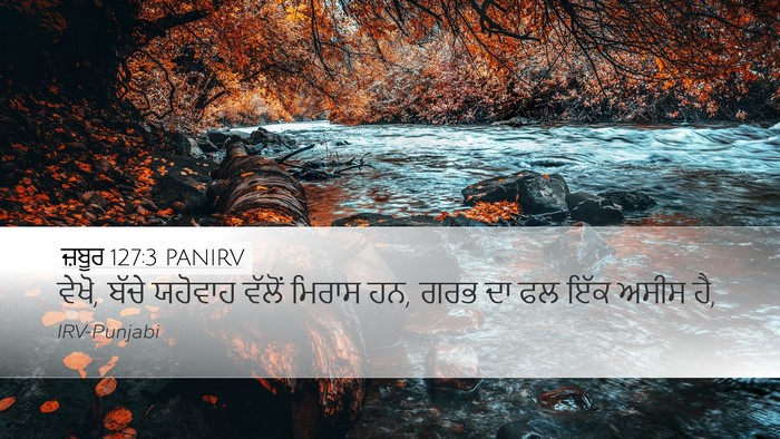 ਜ਼ਬੂਰ 127:3 PANIRV Bible Verse Image