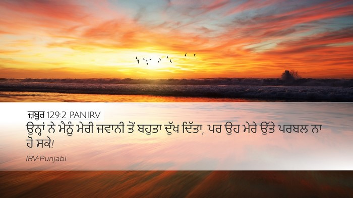ਜ਼ਬੂਰ 129:2 PANIRV Bible Verse Image