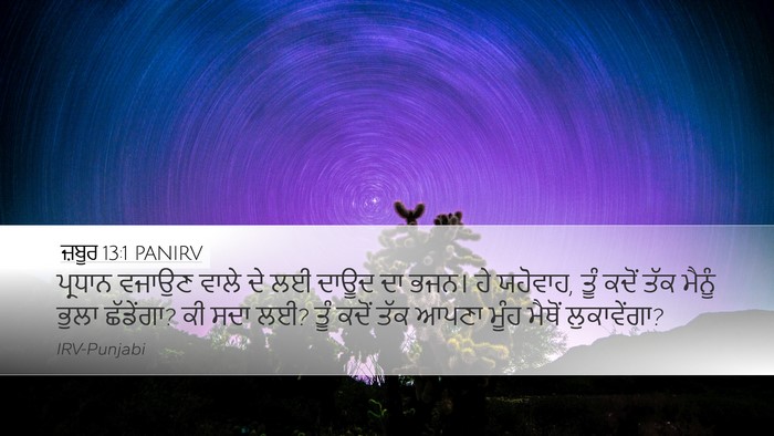 ਜ਼ਬੂਰ 13:1 PANIRV Bible Verse Image