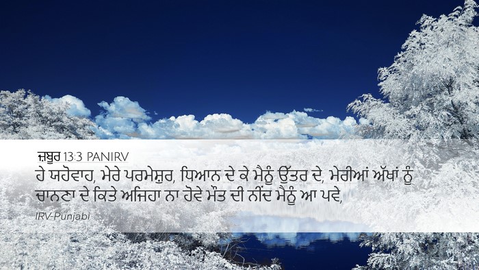 ਜ਼ਬੂਰ 13:3 PANIRV Bible Verse Image