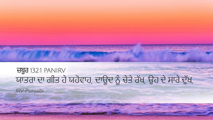 ਜ਼ਬੂਰ 132:1 PANIRV Bible Verse Image