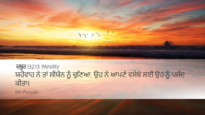 ਜ਼ਬੂਰ 132:13 PANIRV Bible Verse Image