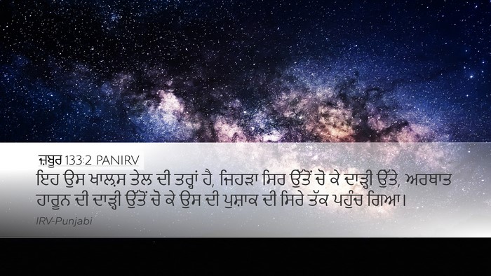 ਜ਼ਬੂਰ 133:2 PANIRV Bible Verse Image