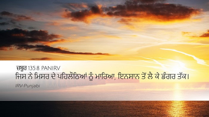 ਜ਼ਬੂਰ 135:8 PANIRV Bible Verse Image