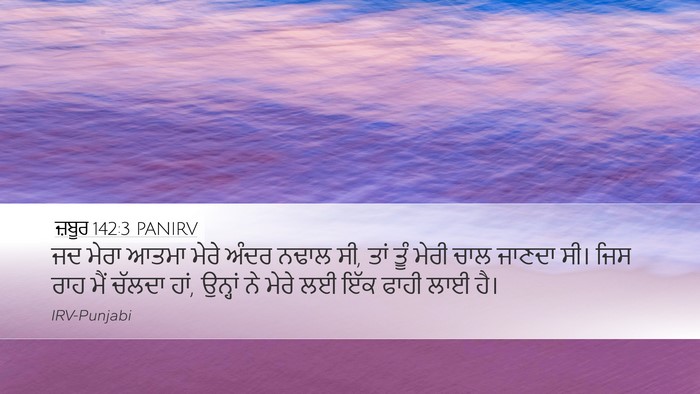 ਜ਼ਬੂਰ 142:3 PANIRV Bible Verse Image