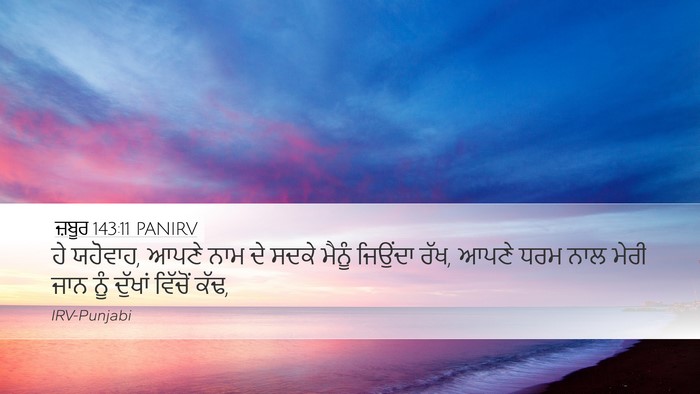 ਜ਼ਬੂਰ 143:11 PANIRV Bible Verse Image