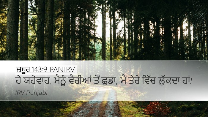 ਜ਼ਬੂਰ 143:9 PANIRV Bible Verse Image