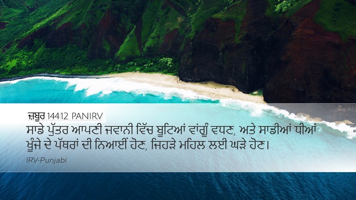 ਜ਼ਬੂਰ 144:12 PANIRV Bible Verse Image