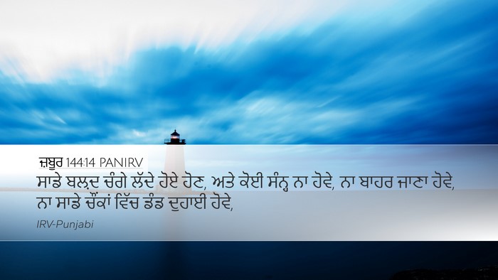 ਜ਼ਬੂਰ 144:14 PANIRV Desktop Wallpaper - ਸਾਡੇ ਬਲ਼ਦ ਚੰਗੇ - Desktop Bible Verse Wallpaper