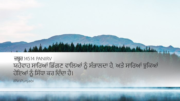 ਜ਼ਬੂਰ 145:14 PANIRV Bible Verse Image