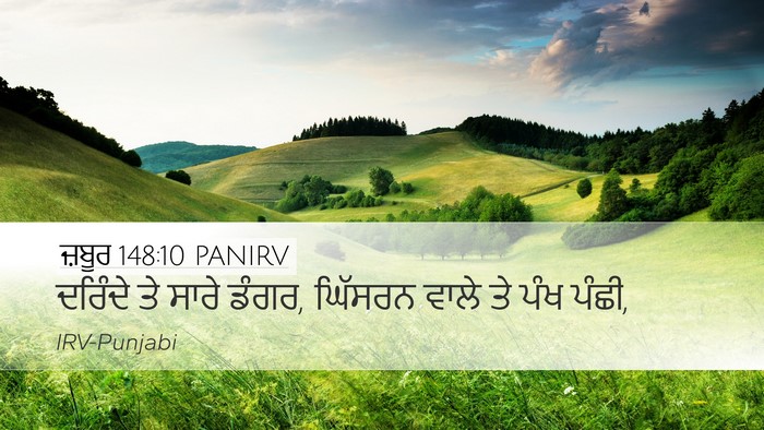 ਜ਼ਬੂਰ 148:10 PANIRV Bible Verse Image