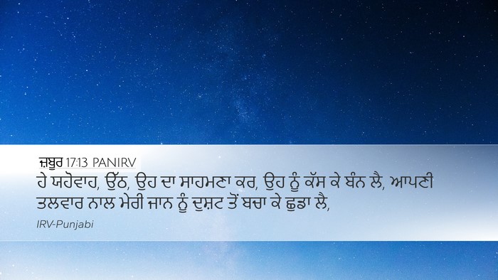 ਜ਼ਬੂਰ 17:13 PANIRV Bible Verse Image