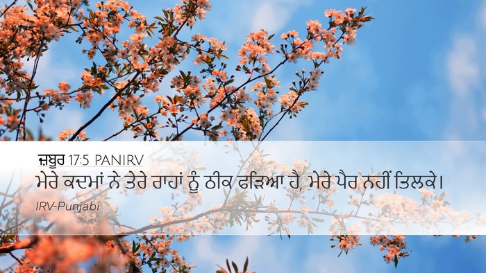 ਜ਼ਬੂਰ 17:5 PANIRV Bible Verse Image