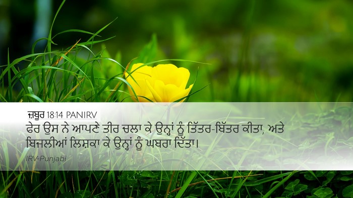 ਜ਼ਬੂਰ 18:14 PANIRV Bible Verse Image