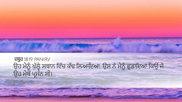 ਜ਼ਬੂਰ 18:19 PANIRV Bible Verse Image