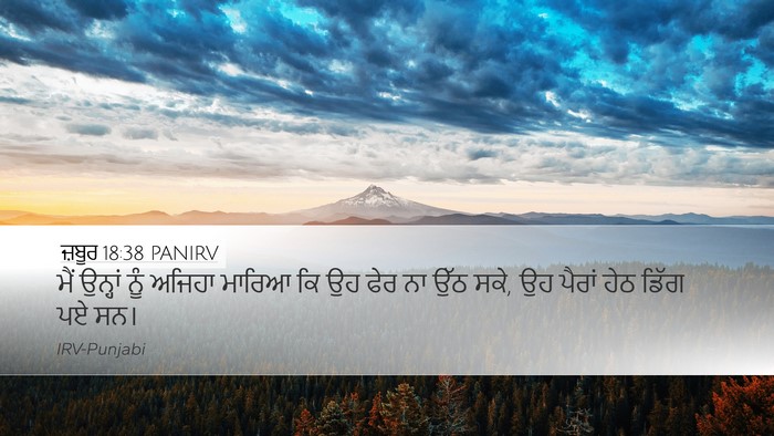 ਜ਼ਬੂਰ 18:38 PANIRV Desktop Wallpaper - ਮੈਂ ਉਨ੍ਹਾਂ ਨੂੰ - Desktop Bible Verse Wallpaper