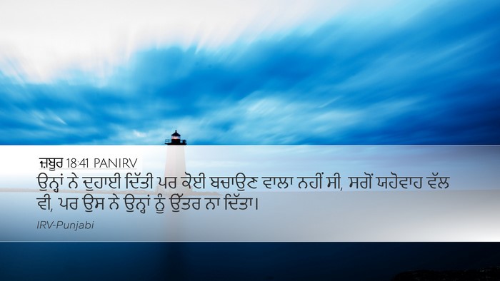 ਜ਼ਬੂਰ 18:41 PANIRV Desktop Wallpaper - ਉਨ੍ਹਾਂ ਨੇ ਦੁਹਾਈ - Desktop Bible Verse Wallpaper