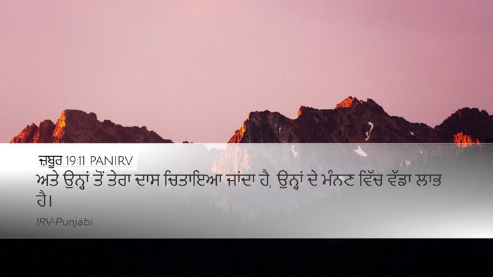 ਜ਼ਬੂਰ 19:11 PANIRV Bible Verse Image
