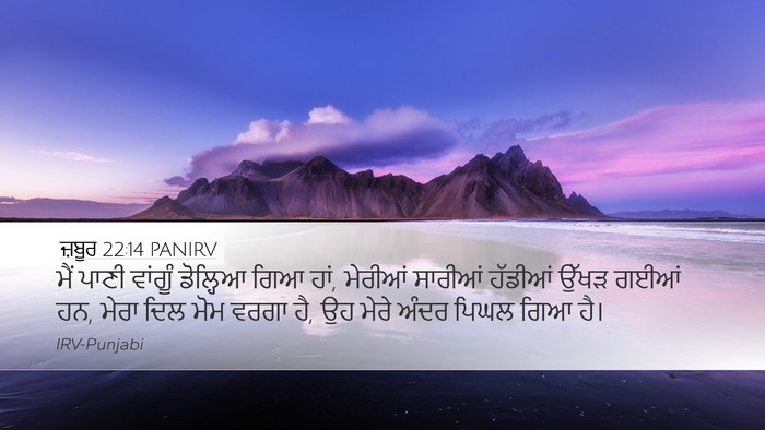 ਜ਼ਬੂਰ 22:14 PANIRV Bible Verse Image