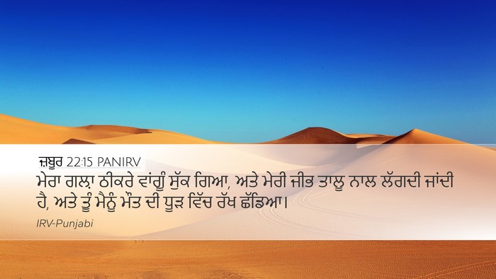 ਜ਼ਬੂਰ 22:15 PANIRV Bible Verse Image