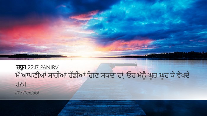 ਜ਼ਬੂਰ 22:17 PANIRV Bible Verse Image