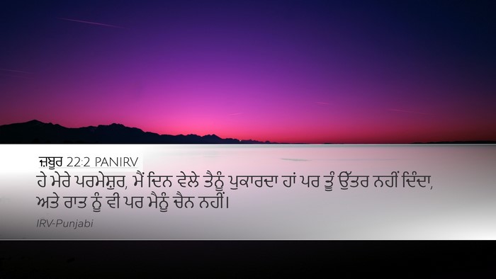 ਜ਼ਬੂਰ 22:2 PANIRV Bible Verse Image
