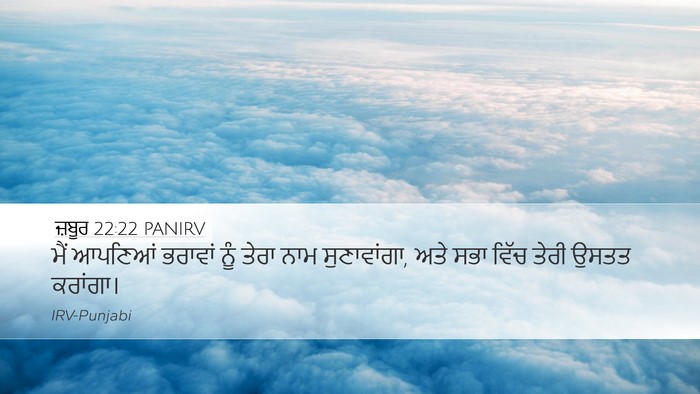 ਜ਼ਬੂਰ 22:22 PANIRV Bible Verse Image