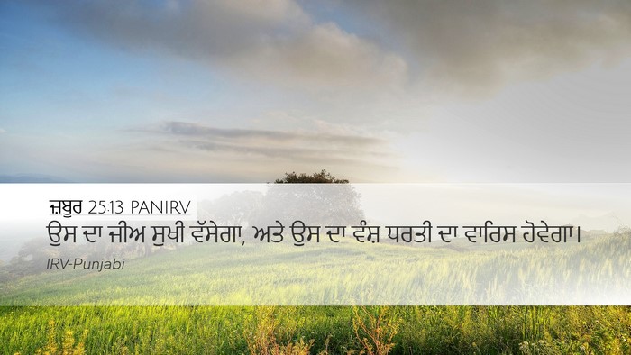 ਜ਼ਬੂਰ 25:13 PANIRV Bible Verse Image