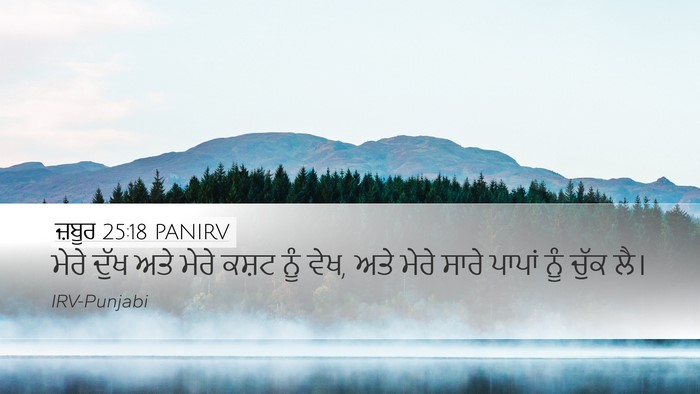 ਜ਼ਬੂਰ 25:18 PANIRV Bible Verse Image
