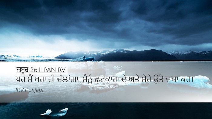 ਜ਼ਬੂਰ 26:11 PANIRV Bible Verse Image