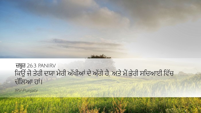 ਜ਼ਬੂਰ 26:3 PANIRV Desktop Wallpaper - ਕਿਉਂ ਜੋ ਤੇਰੀ ਦਯਾ - Desktop Bible Verse Wallpaper