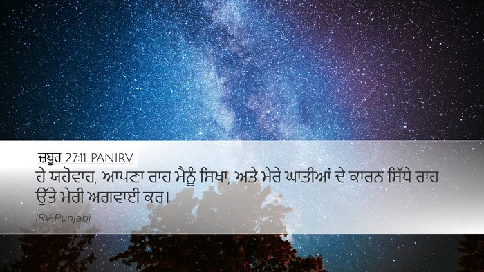 ਜ਼ਬੂਰ 27:11 PANIRV Bible Verse Image