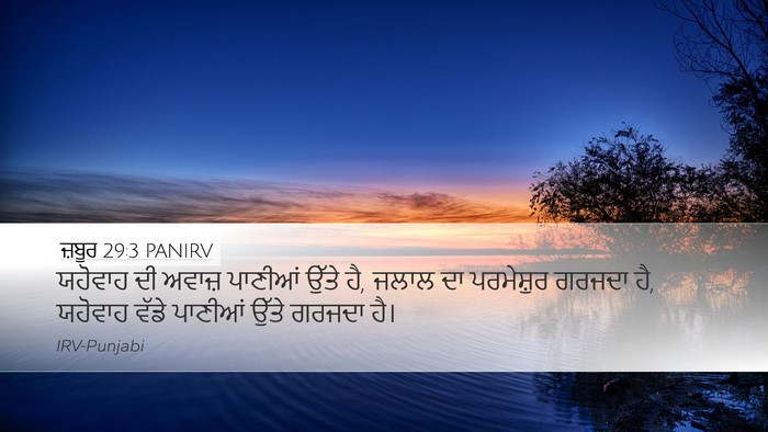 ਜ਼ਬੂਰ 29:3 PANIRV Bible Verse Image