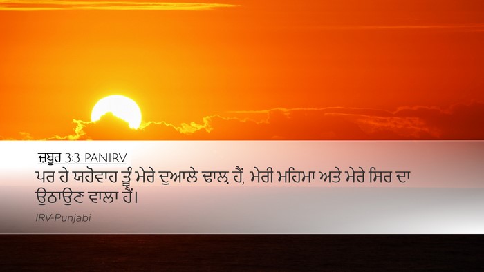 ਜ਼ਬੂਰ 3:3 PANIRV Bible Verse Image
