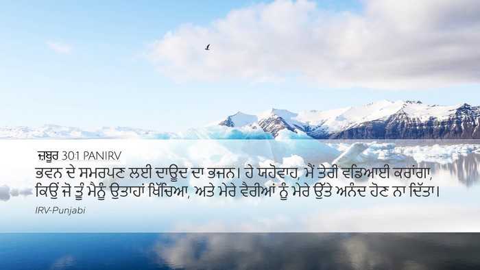 ਜ਼ਬੂਰ 30:1 PANIRV Bible Verse Image