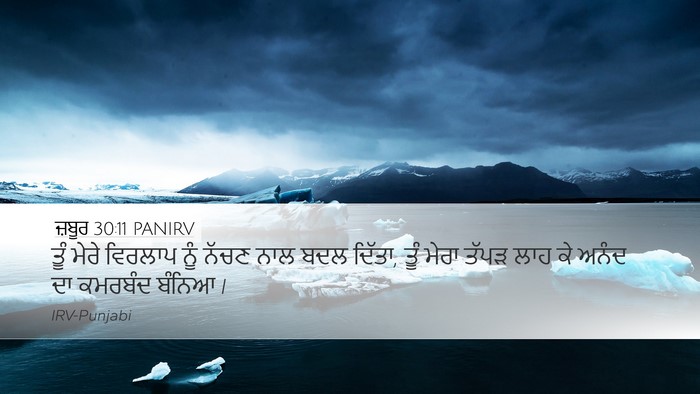 ਜ਼ਬੂਰ 30:11 PANIRV Bible Verse Image