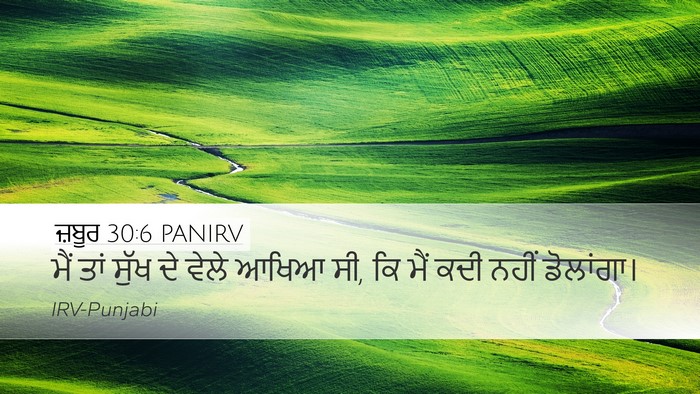 ਜ਼ਬੂਰ 30:6 PANIRV Bible Verse Image