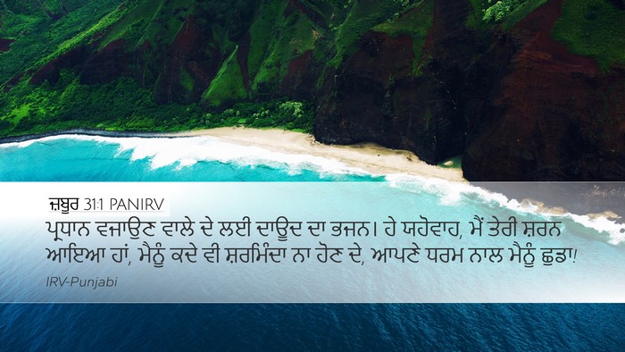 ਜ਼ਬੂਰ 31:1 PANIRV Bible Verse Image