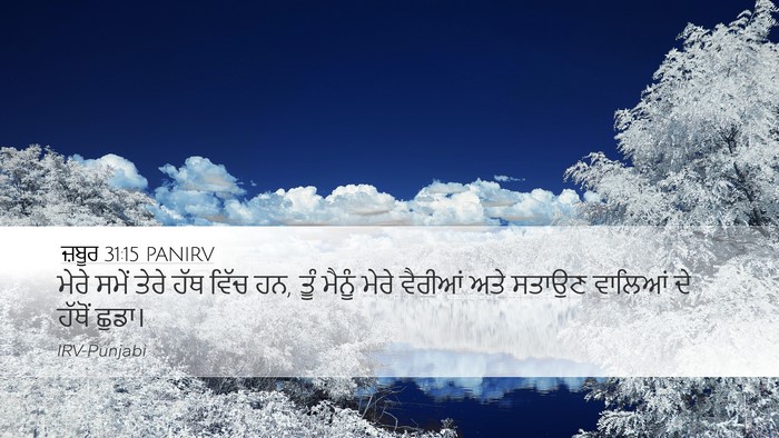 ਜ਼ਬੂਰ 31:15 PANIRV Bible Verse Image